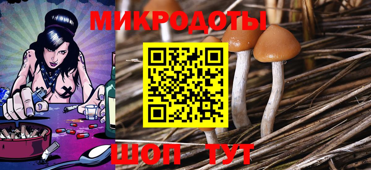 Псилоцибиновые грибы Cubensis  Вход с VPN  где купить наркотик  Владимир 