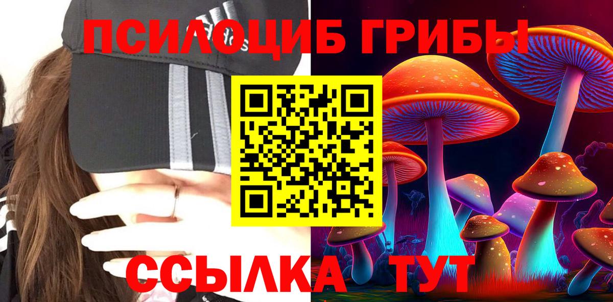 Псилоцибиновые грибы Cubensis Владимир