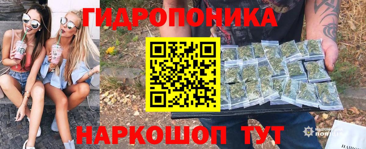 Канабис SATIVA & INDICA  МАРИХУАНА план  Владимир  Вход с VPN 